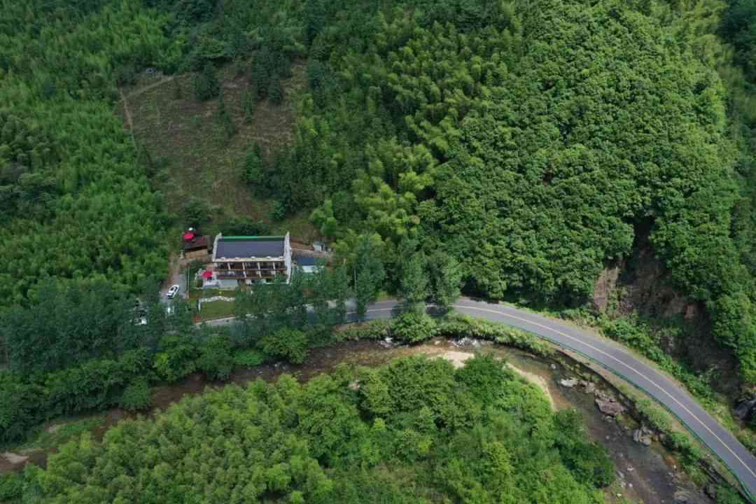 茶香农：品味自然之美，体验静乡村生活