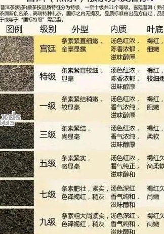 普洱茶熟茶全解析：排名、品质对比、口感体验及选购技巧，助你轻松找到更爱