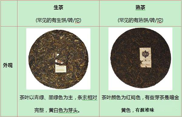 深度解析：几万元一斤的普洱茶背后的投资与品鉴之道