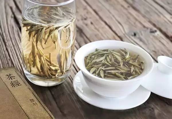 珍珠白茶属于什么茶：茶类、茶种、茶的功效及特点。