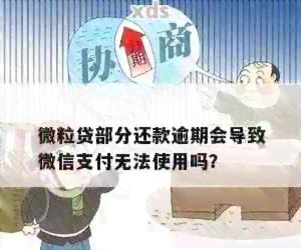 微粒贷逾期信息透明化：揭示风险、保护消费者权益