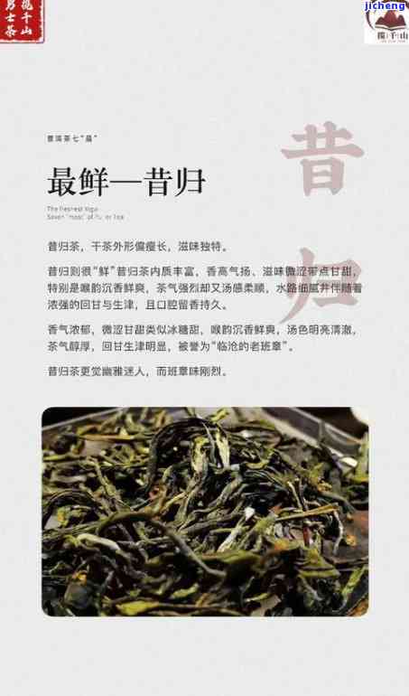 昔归普洱茶：口感特点、品鉴方法与选购技巧，一篇全面指南！