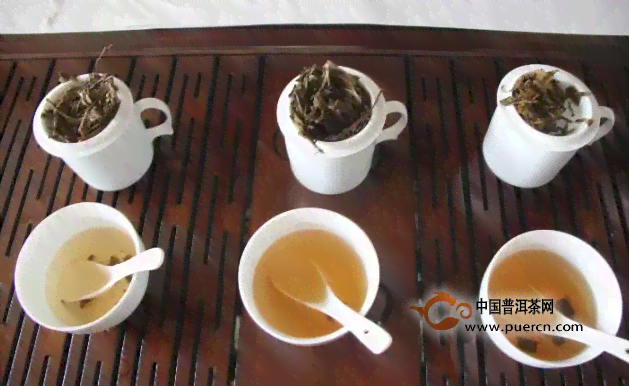 六大茶山：哪六个著名产茶地？普洱茶在六大茶山的表现如何？