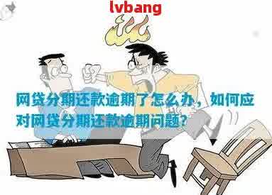 网贷分期付款逾期限制：常见疑问解答及如何避免逾期