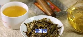 春尖茶叶春尖普洱茶