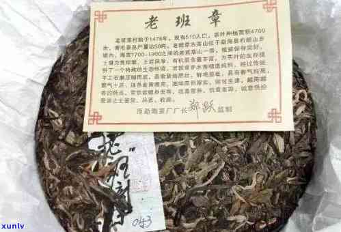 老班章单株普洱茶饼：品种、产地、特点、品鉴与收藏全方位解析