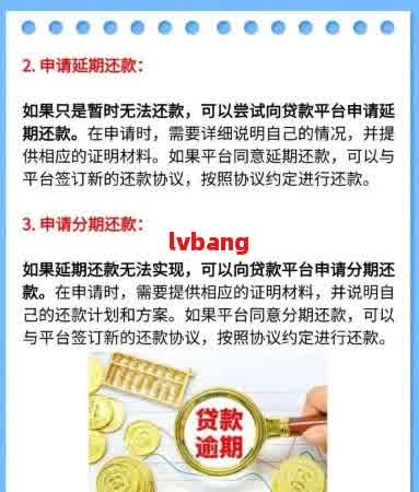 网贷部分还款还是斗不还 - 如何处理网贷的未还部分？