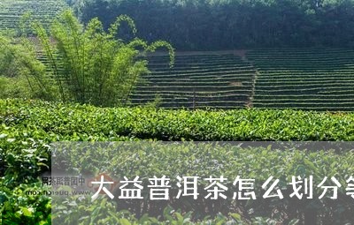 大益特级普洱茶散茶等级划分与价格