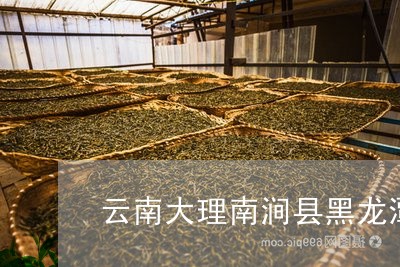 云南黑龙潭茶厂普洱茶好吗？大理和南涧两个厂子的茶怎么样？