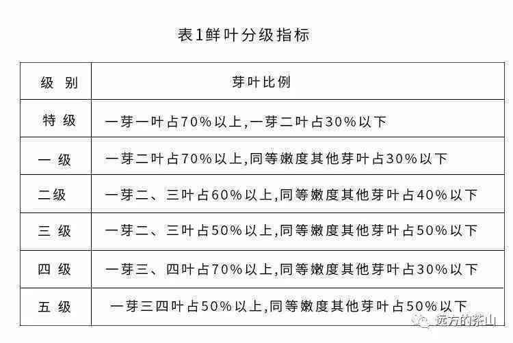 优质普洱茶叶评价指南：如何写出令人信服的好评语？