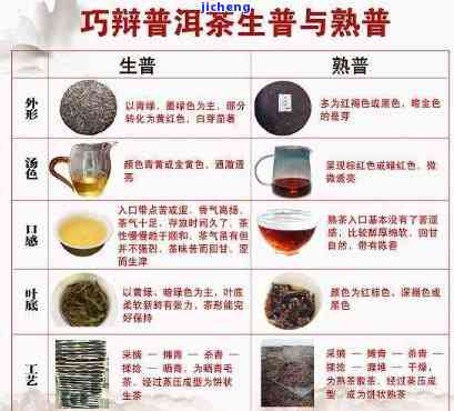 曼新龙普洱茶：品种、产地、制作工艺、口感、功效与泡法全方位解析