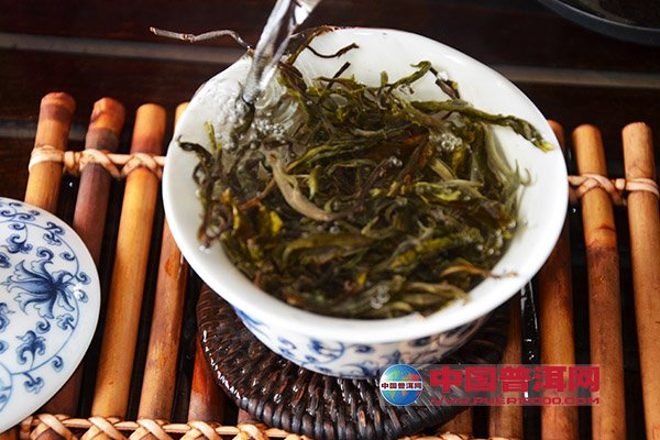 普洱茶生茶散茶好吗怎么泡喝？普洱生茶散茶属于什么茶类？