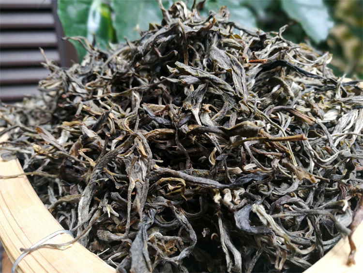 普洱茶茶叶生茶散茶