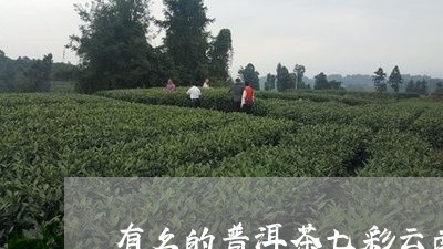 云南特色茶品：七彩熟普洱散茶，滋味醇厚，回味悠长