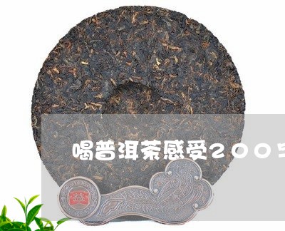 茶痴迷者：我喜欢喝普洱茶的300字探索与心得