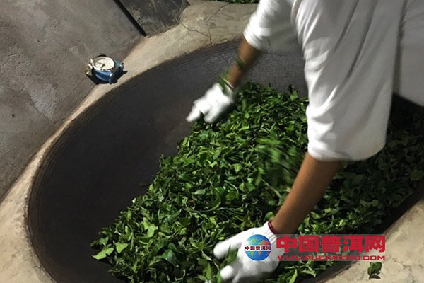 普洱茶杀青的多重目的解析：从制茶工艺到口感影响一探究竟