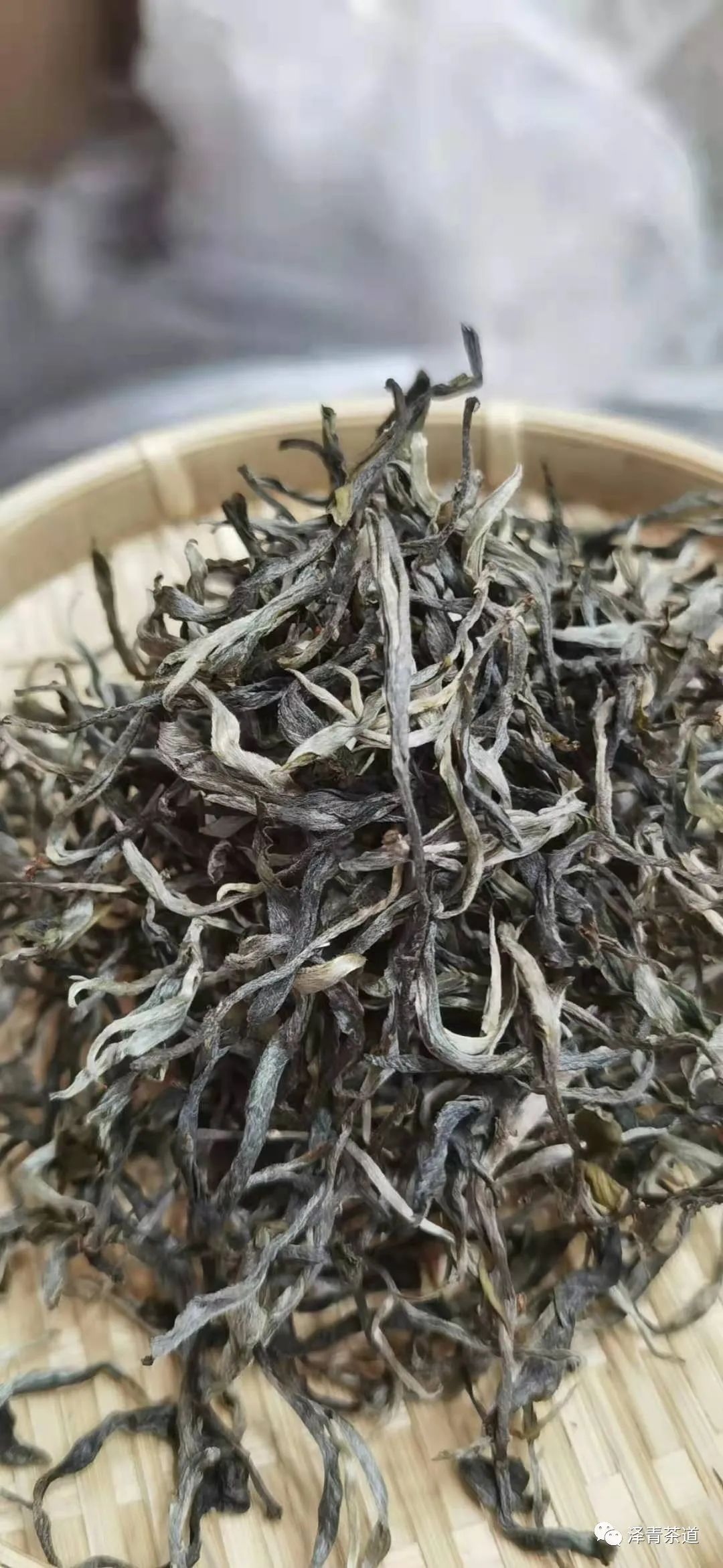 冰岛与曼松普洱茶之争：两种茶叶的独特风味和区别解析