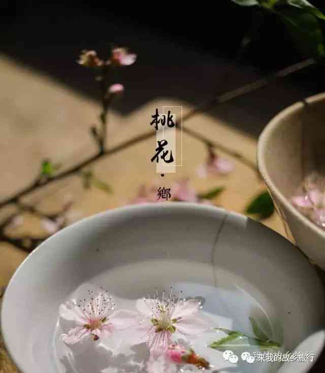 桃花源记：普洱茶与桃子的美妙邂逅