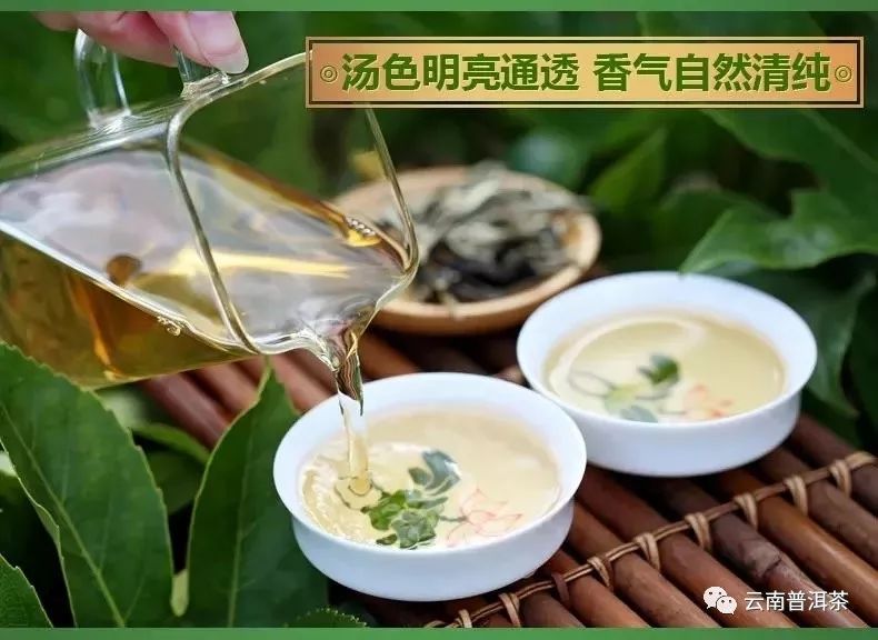 昆明香印香伴普洱茶：一款融合云南风味与古树普洱的醇厚之选