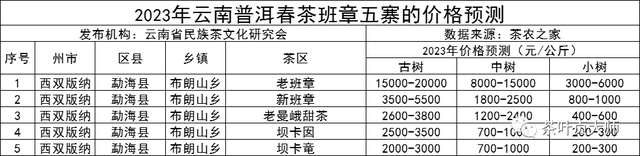 老寨古树茶价格全解析：南盆、广别、半坡，一文看清2023年价格表！