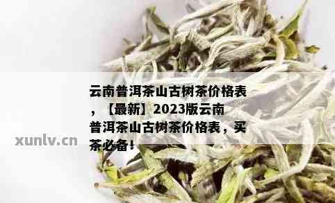 老寨古树茶价格全解析：南盆、广别、半坡，一文看清2023年价格表！