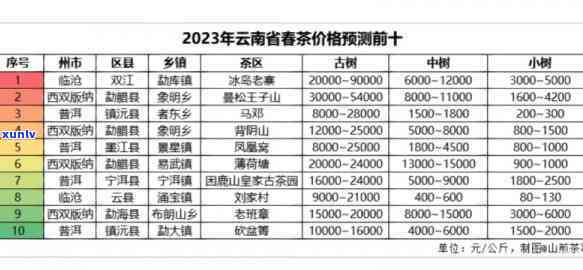 老寨古树茶价格全解析：南盆、广别、半坡，一文看清2023年价格表！