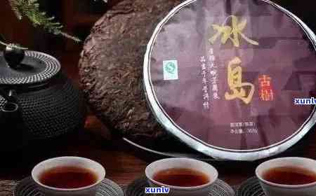 冰岛普洱茶：生茶与熟茶的优劣比较及选择指南