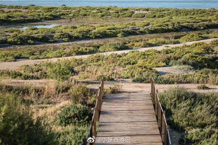 探索螃蟹岬：历、地理与自然景观的交织