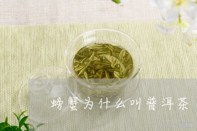 螃蟹岬茶是普洱茶吗