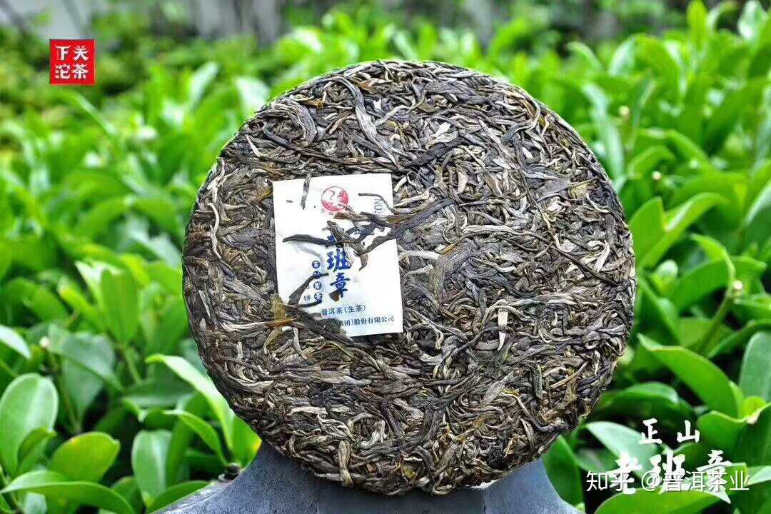 下关班章正山老树茶：古树韵味，匠心独运的品茗之旅