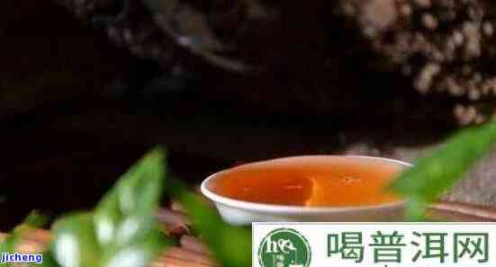 韭菜配普洱茶能喝吗有吗？韭菜和普洱茶能否一起食用？