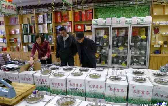 大展茶行批发：优质茶叶供应商，一站购齐各类茶叶，提供批发价格与定制服务