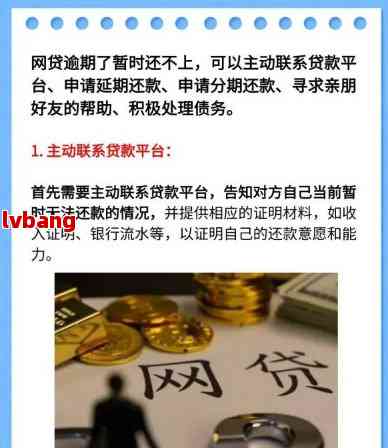 网贷可以提前还款没有违约金的有：如何操作及注意事项