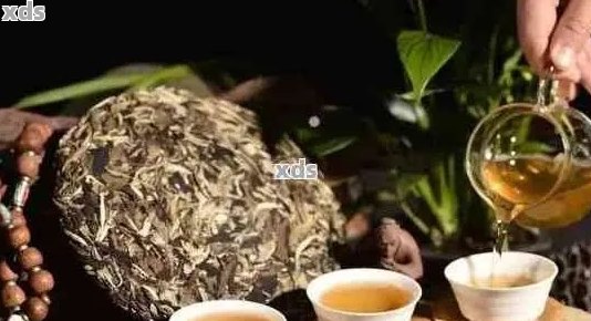 听普洱茶的历感悟怎么写：三年级学生分享心得体会