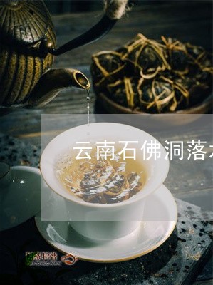 石佛洞生茶品质优良，来自云南石佛洞茶叶的普洱茶怎么样？