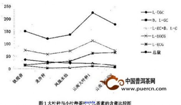 普洱茶中钾离子的含量及其对健的影响：一篇全面的探讨