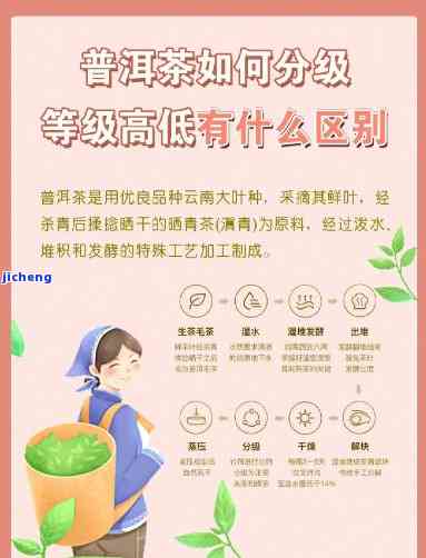 普洱茶中钾离子的含量及其对健的影响：一篇全面的探讨