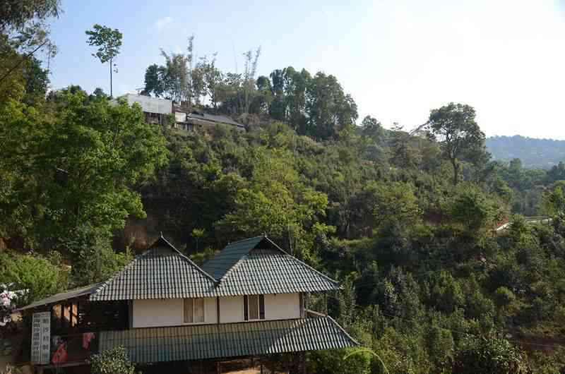 帕沙普洱茶和王子山