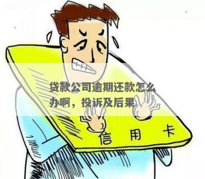 个人贷款逾期后，公司是否需要承担还款责任？