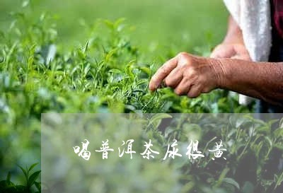 普洱茶的消炎功效及其科学依据：一篇全面的解析