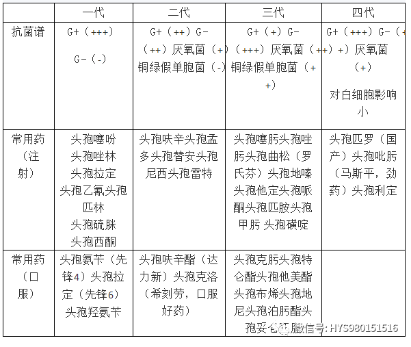 普洱茶的抗菌功效及其作用机制：一篇全面解析的文章