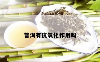 普洱茶抗氧化消炎症