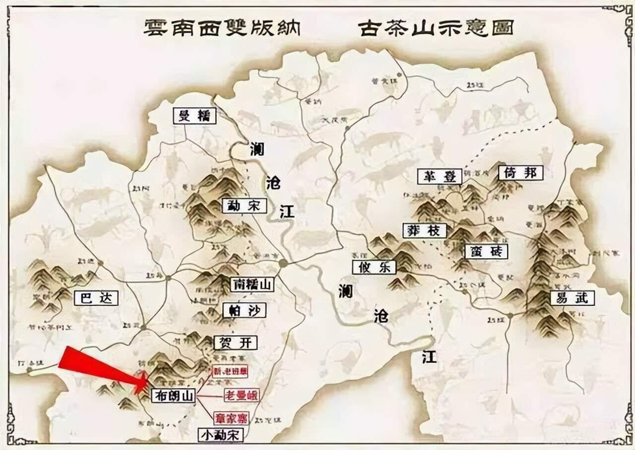 布朗山普洱茶名山寨大揭秘：一文全面解析各大著名产地及其特点