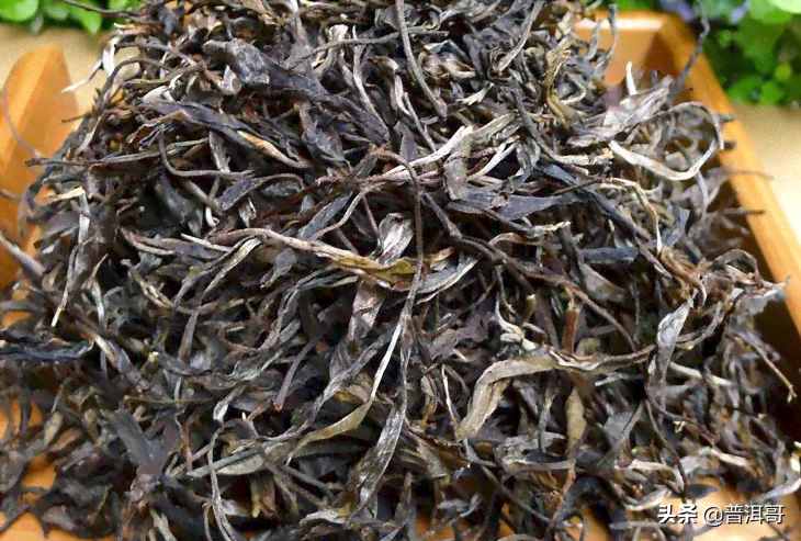 新 '云南特产麻黑普洱茶-高品质茶叶的价格分析与推荐'