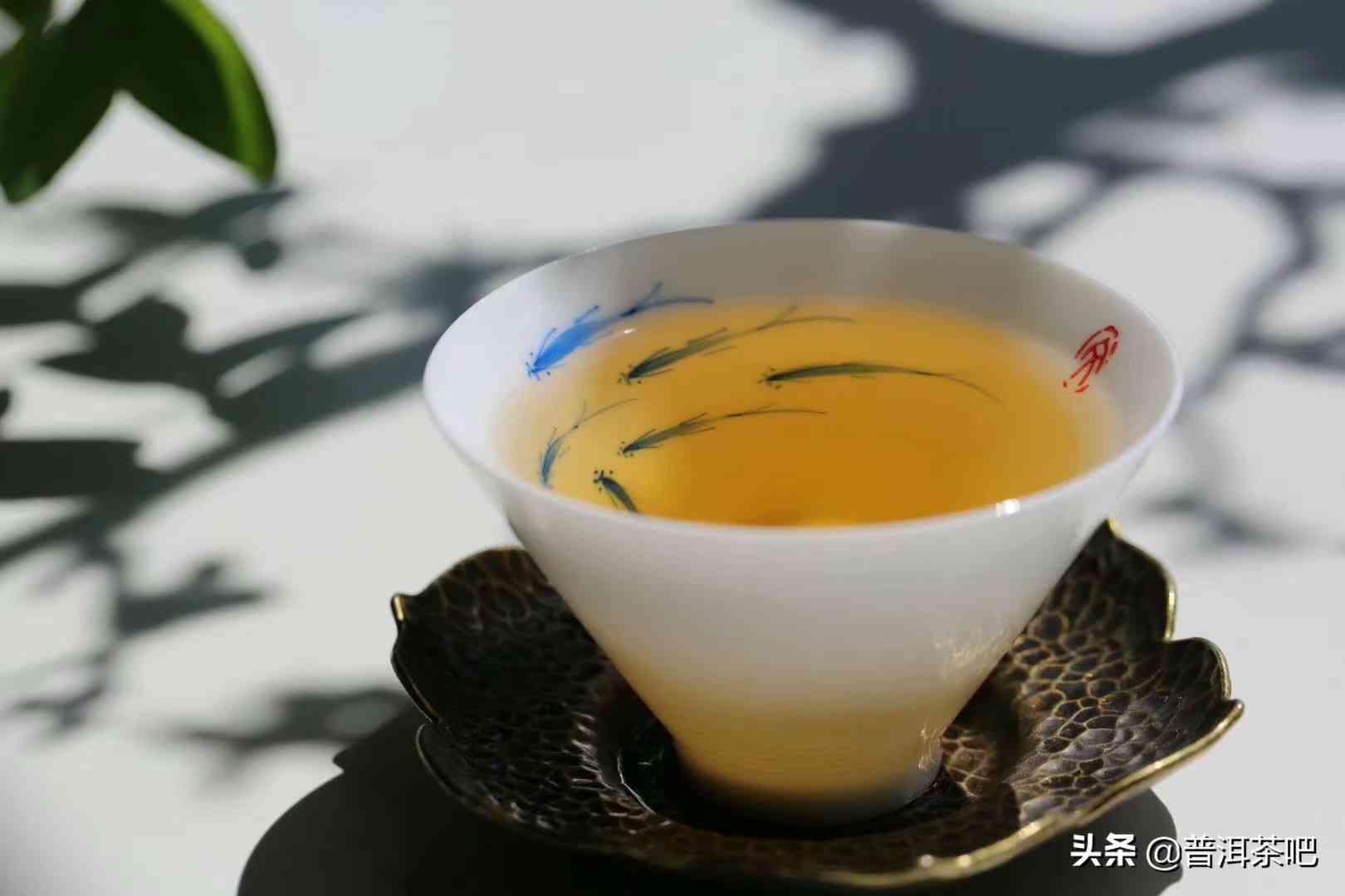 瓷茶具与普洱茶：相辅相成的泡茶好搭档？