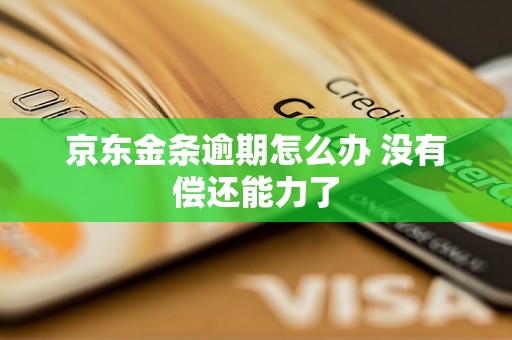 京东购物逾期还款时间是一个月半还是三个月？请给出解答。