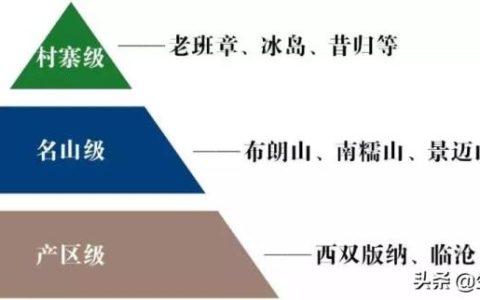 '冰岛普洱茶的产区、山头、茶区等级详解'