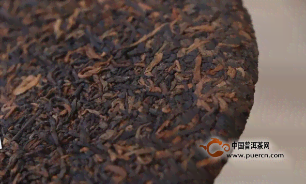 新普洱茶价格指南：合和名品古树茶的性价比分析