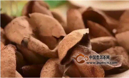 大益桔普陈皮普洱茶