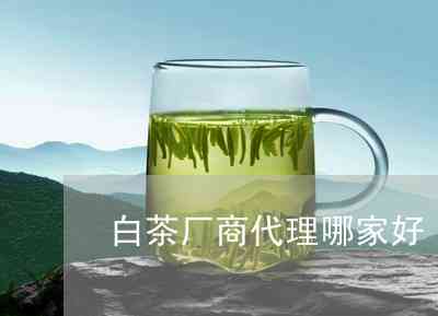 大白茶普洱茶专业总代理： 源头直供，品质保证，批发价格，定制礼盒